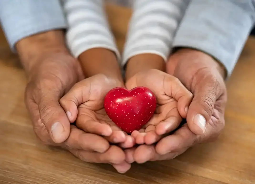 Hands holding a small red heart together.